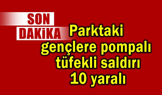 Parktaki gençlere pompalı tüfekli saldırı