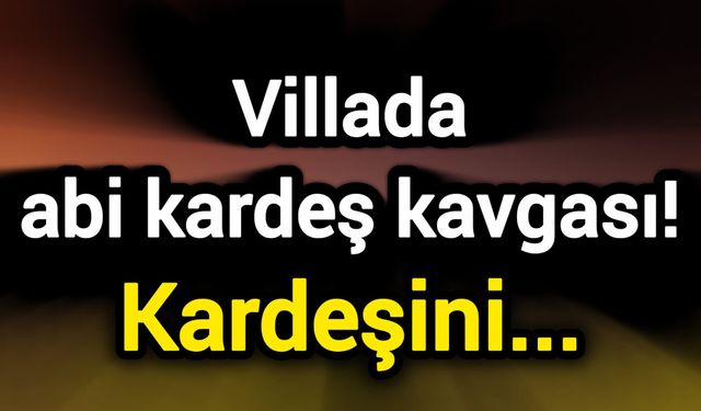 Villada abi kardeş kavgası! Kardeşini...