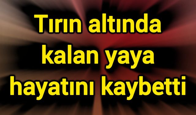 Tırın altında kalan yaya hayatını kaybetti