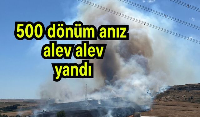 500 dönüm anız alev alev yandı