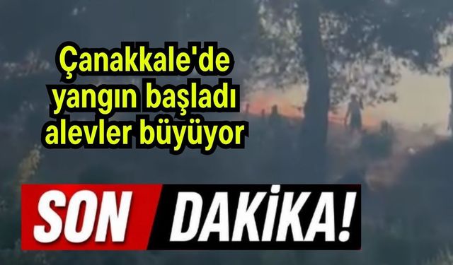 Çanakkale'de yangın başladı! Alevler büyüyor