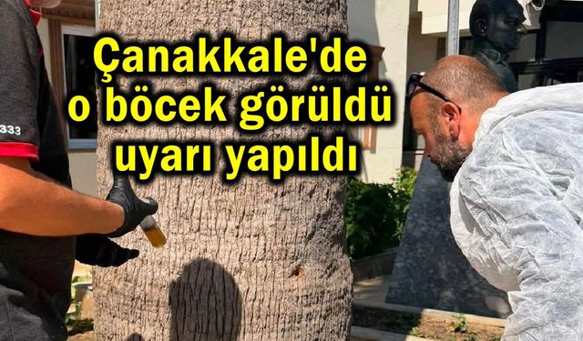 Çanakkale'de o böcek görüldü uyarı yapıldı