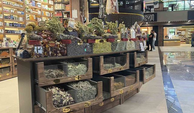 Ter kokusuna bitkisel çözüm