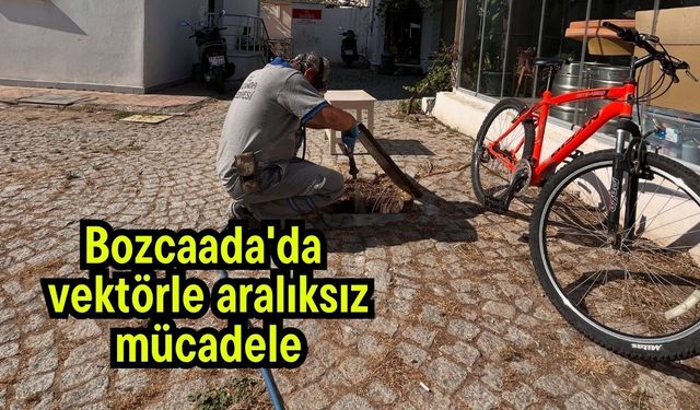 Bozcaada'da vektörle aralıksız mücadele