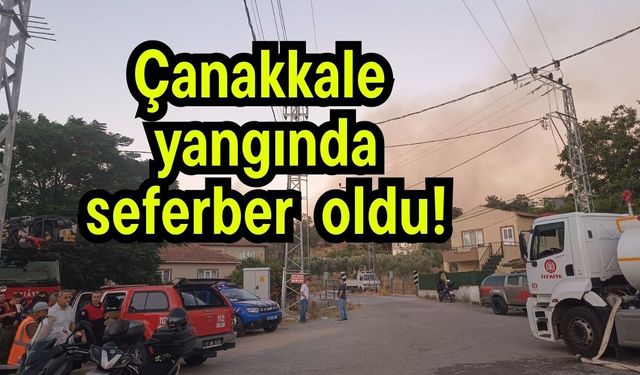 Çanakkale yangında seferber oldu!