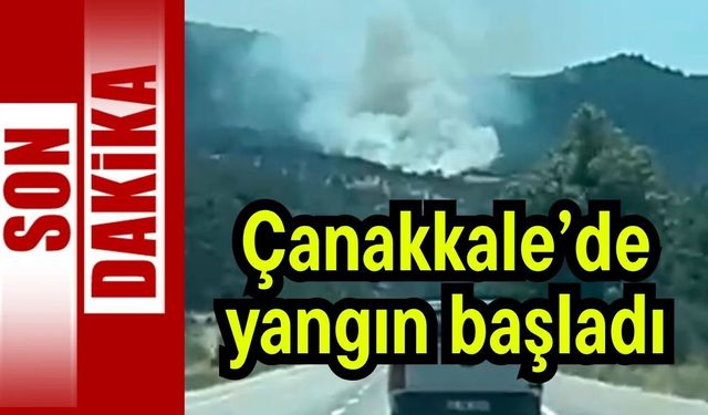 Çanakkale'de orman yangını! (Video)