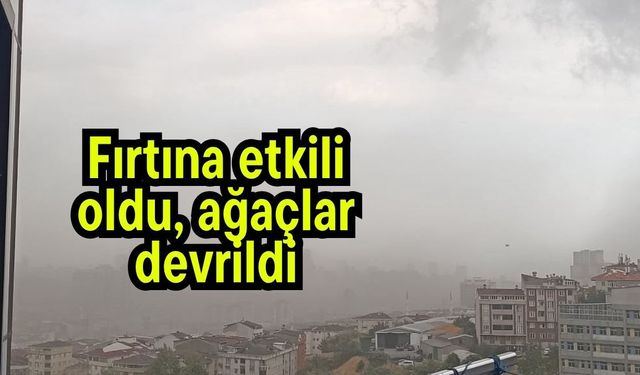 Fırtına etkili oldu, ağaçlar devrildi