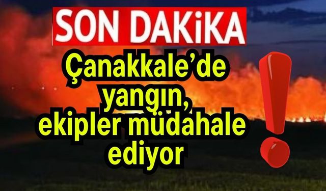 Çanakkale’de yangın, ekipler müdahale ediyor