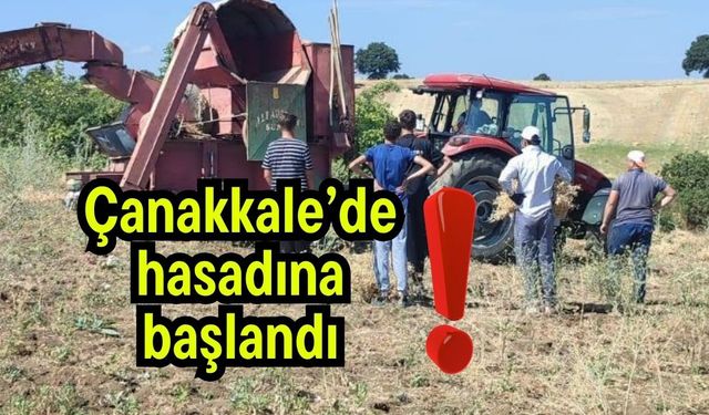 Çanakkale’de hasadına başlandı!