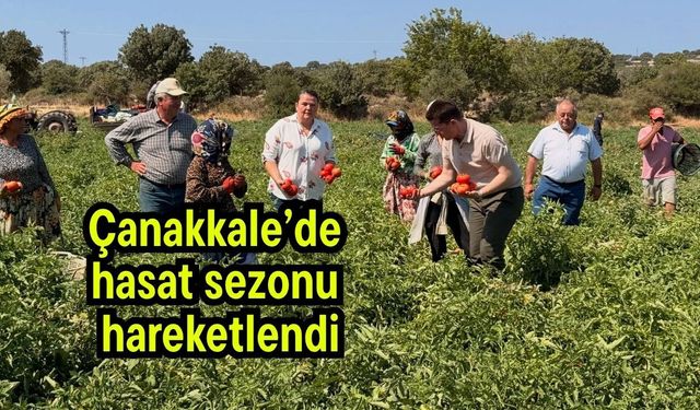 Çanakkale’de hasat sezonu hareketlendi
