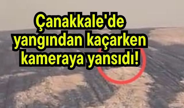 Çanakkale'de yangından kaçarken kameraya yansıdı! (Video)