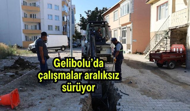 Gelibolu’da çalışmalar aralıksız sürüyor