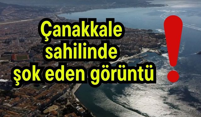 Çanakkale sahilinde şok eden görüntü!