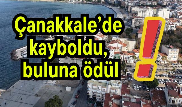Çanakkale’de kayboldu, bulana ödül!
