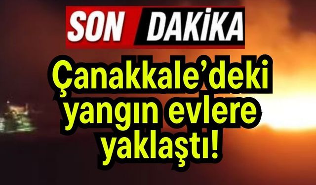 Çanakkale’deki yangın evlere yaklaştı!