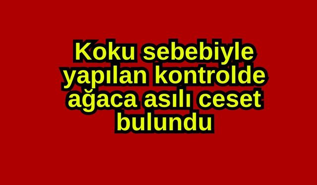 Koku sebebiyle yapılan kontrolde ağaca asılı ceset bulundu
