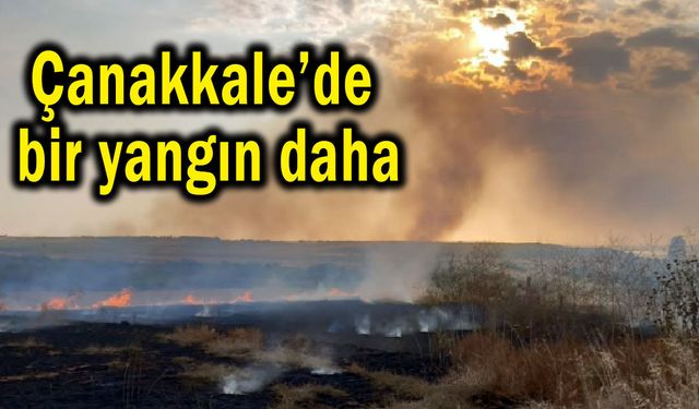 Çanakkale’de bir yangın daha çıktı