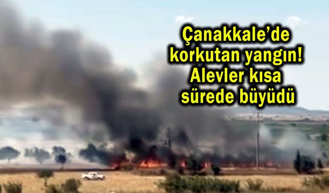 Çanakkale’de alevler kısa sürede büyüdü (Video)