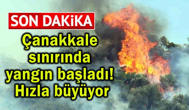 Çanakkale sınırında yangın başladı! Hızla büyüyor