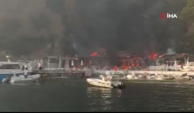 Plajda yangın paniği (Video)