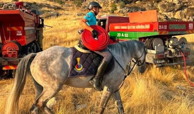Atlı jandarmalar yangın bölgesine hortum taşıdı (Video)