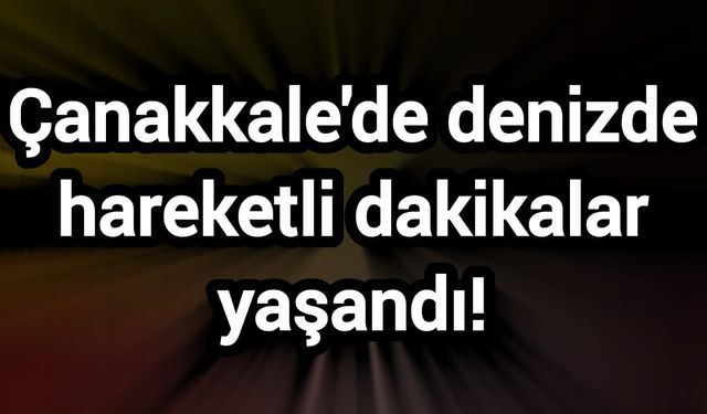 Çanakkale'de denizde hareketli dakikalar yaşandı!