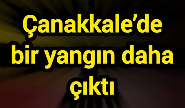 Çanakkale’de bir yangın daha çıktı