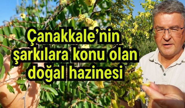 Çanakkale’nin şarkılara konu olan doğal hazinesi