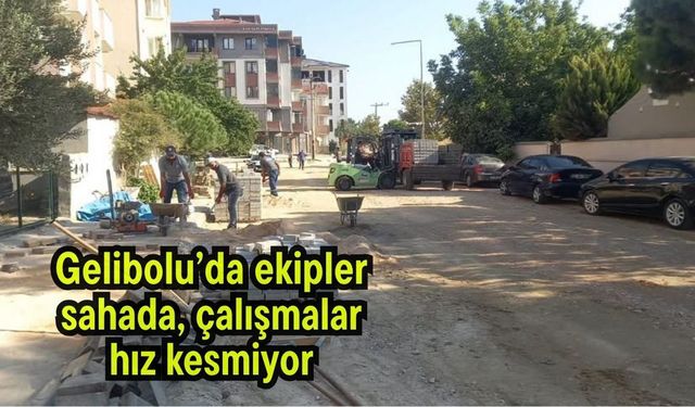 Gelibolu’da ekipler sahada, çalışmalar hız kesmiyor