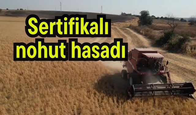 Sertifikalı nohut hasadı (Video)