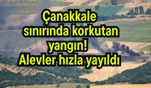 Çanakkale sınırında korkutan yangın! Alevler hızla yayıldı (Video)