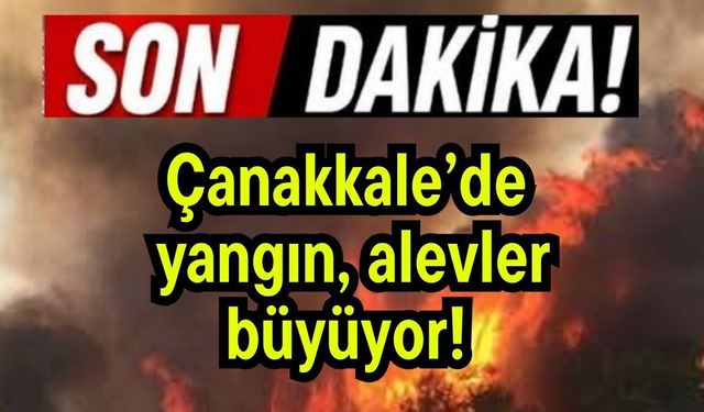Çanakkale’de yangın, alevler büyüyor!