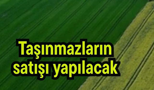 Çanakkale'de taşınmazların satışı yapılacak