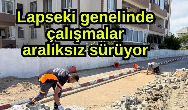 Lapseki genelinde çalışmalar aralıksız sürüyor