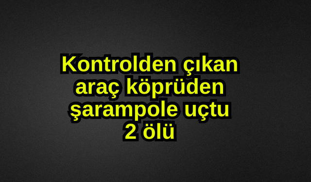 Kontrolden çıkan araç köprüden şarampole uçtu: 2 ölü