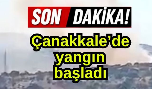 Çanakkale’de yangın başladı