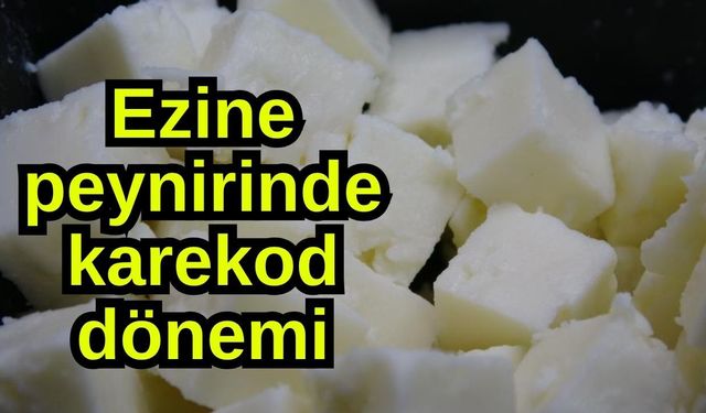 Ezine peynirinde karekod dönemi (Video)