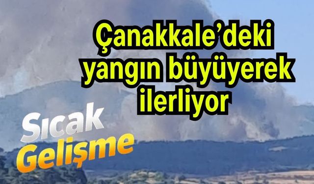 Çanakkale’deki yangın büyüyerek ilerliyor