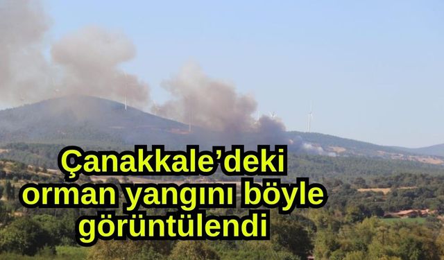 Çanakkale’deki orman yangını böyle görüntülendi (Video)
