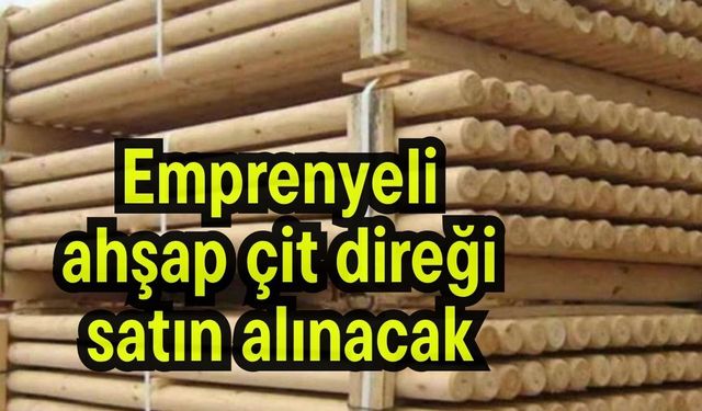 Emprenyeli ahşap çit direği satın alınacak