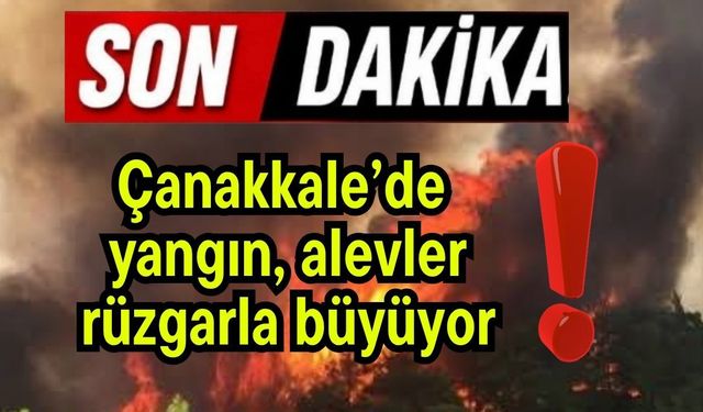 Çanakkale’de yangın, alevler rüzgarla büyüyor!