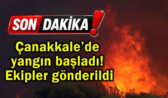 Çanakkale’de yangın başladı! Ekipler gönderildi