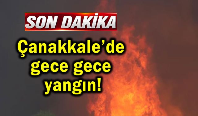 Çanakkale’de gece gece yangın !