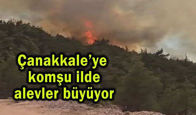 Çanakkale’ye komşu ilde alevler büyüyor (Video)