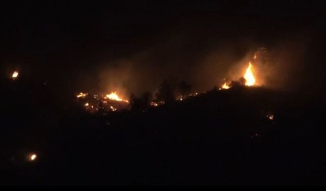 Çanakkale Ezine'deki orman yangı ile ilgili son gelişme (Video)