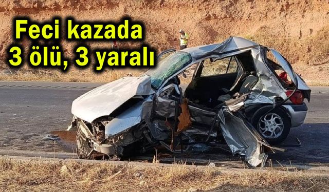 Feci kazada 3 ölü, 3 yaralı (Video)