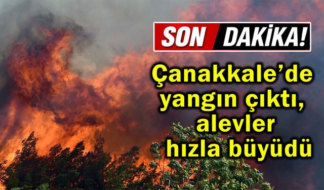 Çanakkale’de yangın çıktı, alevler hızla büyüdü