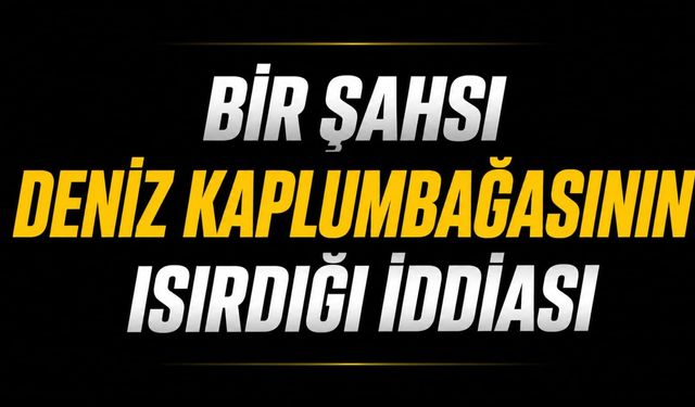 Bir şahsı deniz kaplumbağasının ısırdığı iddiası