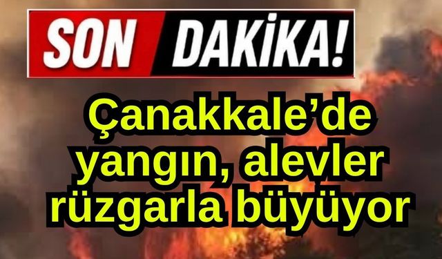 Çanakkale'de yangın! Alevler rüzgarla büyüyor...