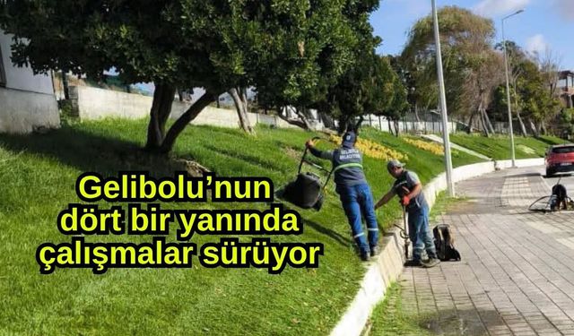 Gelibolu’nun dört bir yanında çalışmalar sürüyor